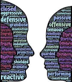 开云电竞平台注册-大学生运动行为与自我效能感的交互关系研究，运动自我效能感量表