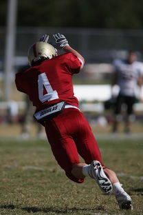 开云体育登陆入口-德甲球队休赛期集训方式对开局表现影响，德甲青训规则